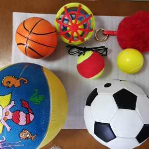 兒童發育行為評估量表軟件工具箱包兒心量表-II