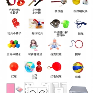 Bayley貝利嬰幼兒發展量表BSID工具箱包